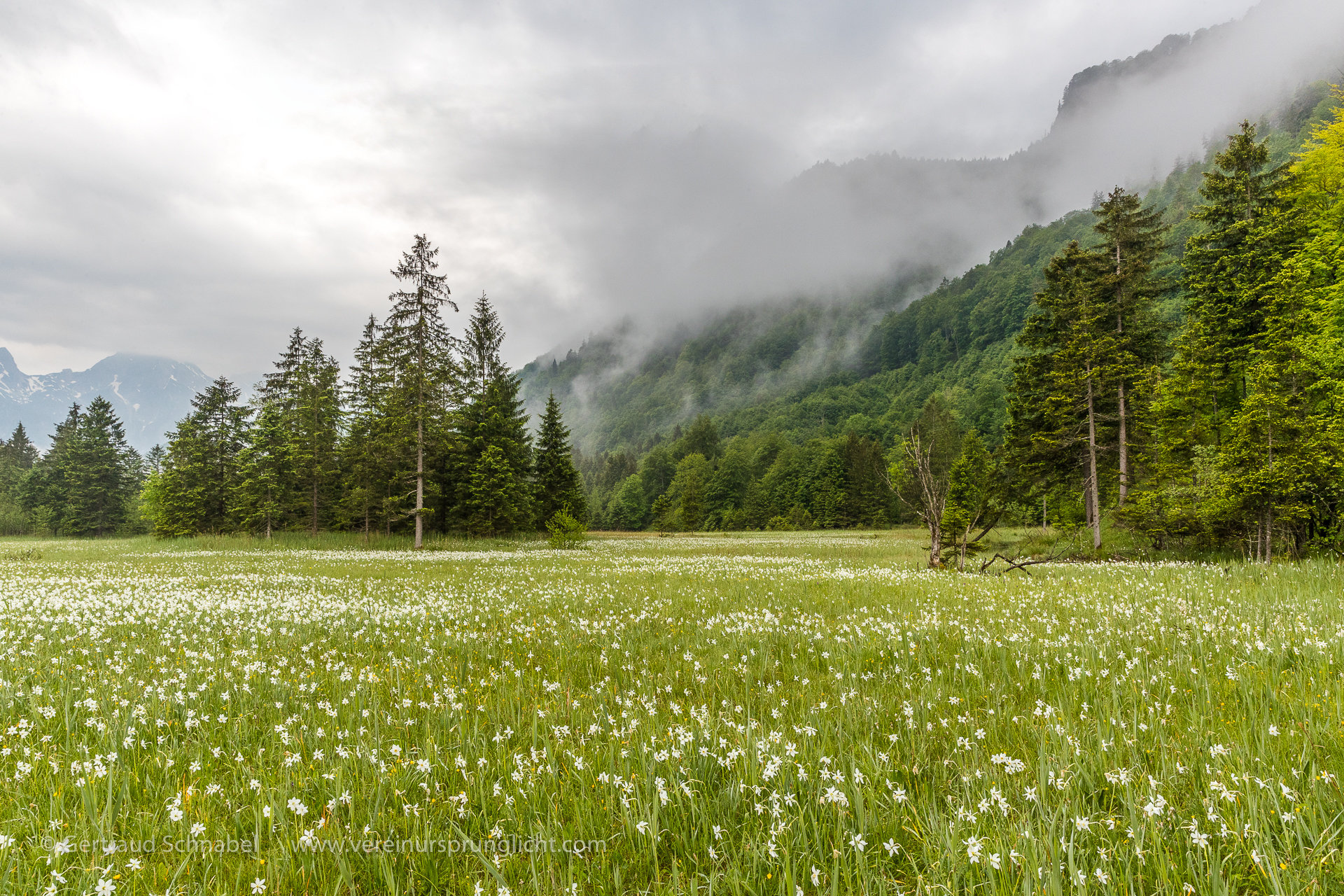 Paradies auf Erden